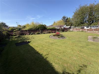 Picture 24